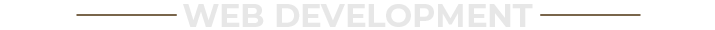 Web-Development.png